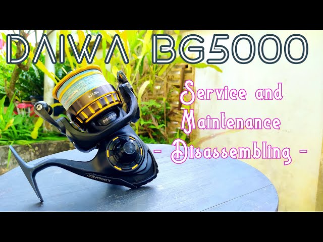 Daiwa BG5000 - Part 1 Disassembling - Reel service and maintenance - 