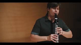 Video thumbnail of "Sebastian Manz & Herbert Schuch - Gade - Fantasy Pieces, Op. 43: No. 2, Allegro vivace"