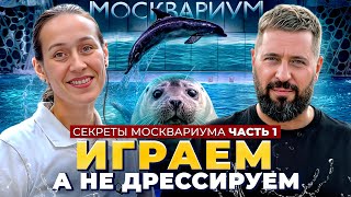 видео: КАК ТРЕНИРУЮТ ДЕЛЬФИНОВ И НЕРП в Москвариуме: секреты тренеров, уникальные методики и трюки животных картинка: КАК ТРЕНИРУЮТ ДЕЛЬФИНОВ И НЕРП в Москвариуме: секреты тренеров, уникальные методики и трюки животных