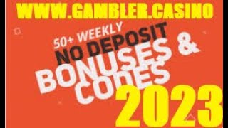 TOP 5 best online casinos 2023-2024 (Rating) and no deposit bonuses with promo code