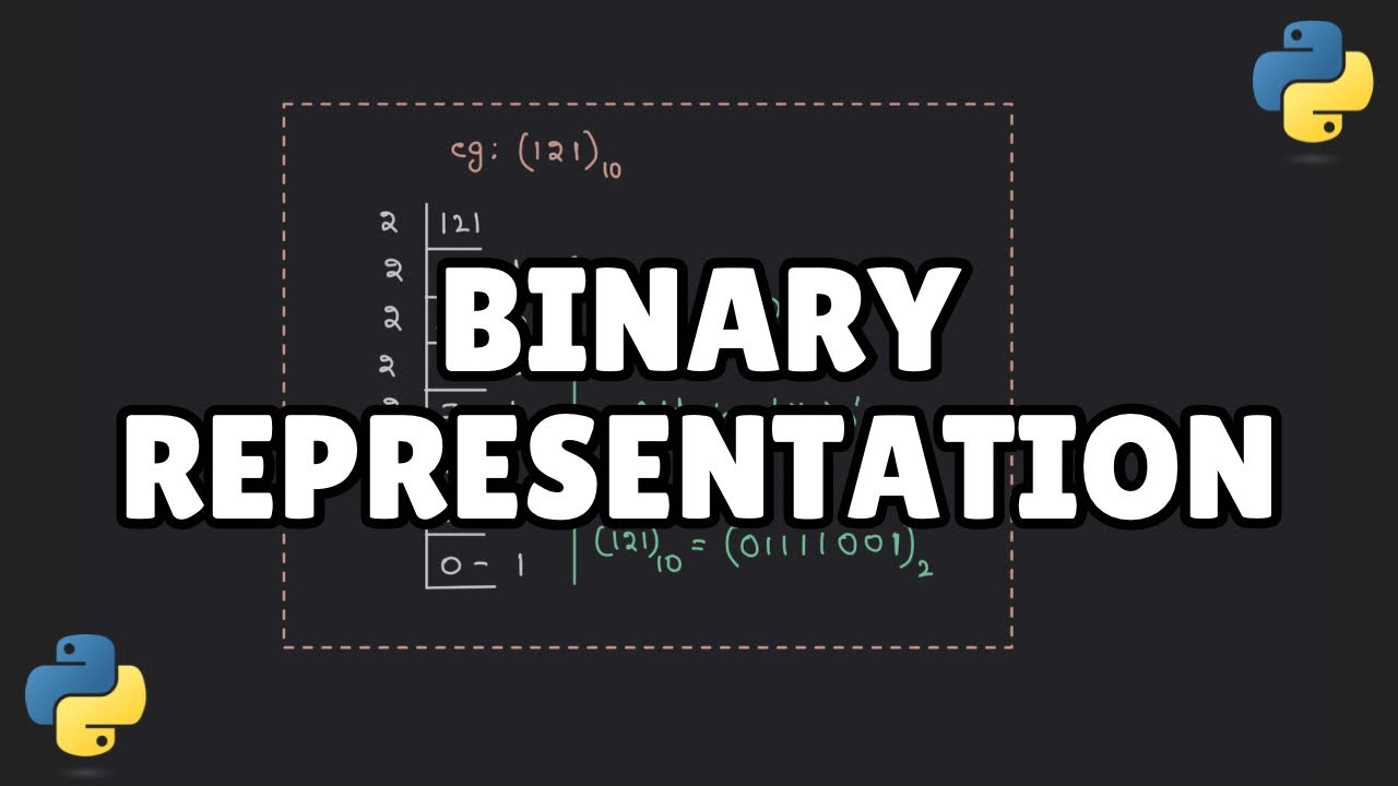 12 . Binary representation of Integers in Python - The foundation before learning Bitwise Operators