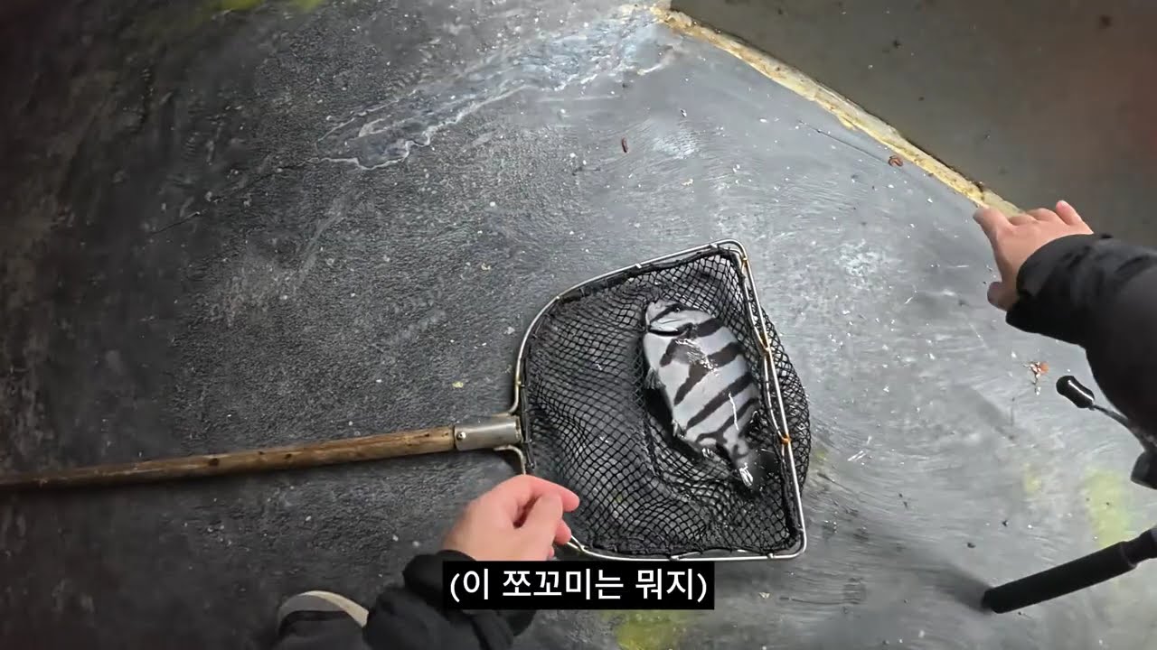 입질이 그리워 새벽에 간 실내 바다 낚시터...결과는