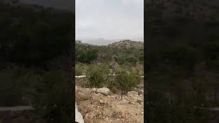 العطلة في غرب السعودية| vacation in west of Saudi Arabia