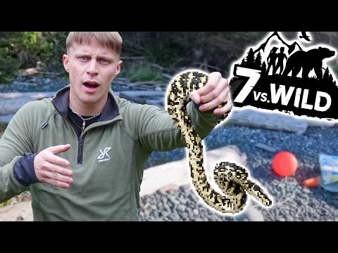 Gifftschlange bei 7vsWild? Das hätten die Teilnehmer wissen müssen! | Joris