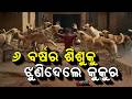 ୬ ବର୍ଷର ଶିଶୁକୁ ଝୁଣିଦେଲେ କୁକୁର | Ganjam News | Dog Attack | Child Safety | Odisha News | Argus News