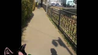 Девушки Алматы(, 2017-10-24T05:35:57.000Z)