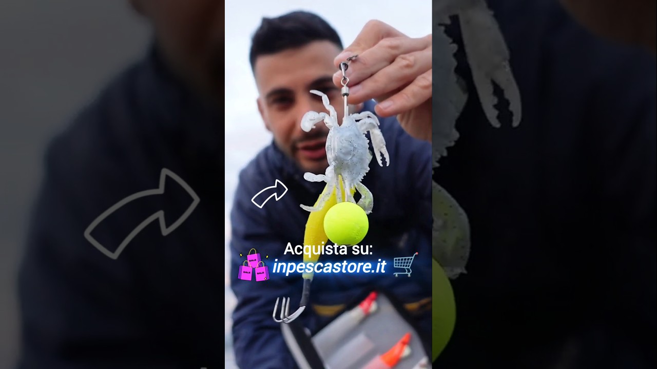 Mix catture POLPO con artificiali • Tako Egi Essential + Polpara Artigianale 