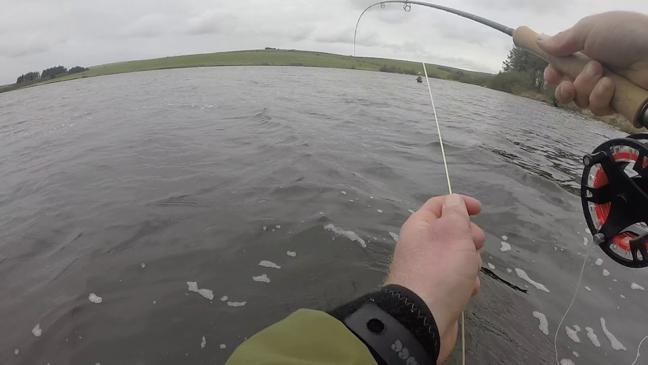 Siblyback lake blue trout.