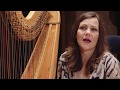 Instrumentos de orquestra  harpa  liuba klevtsova
