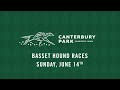 Basset Hound races June 14!