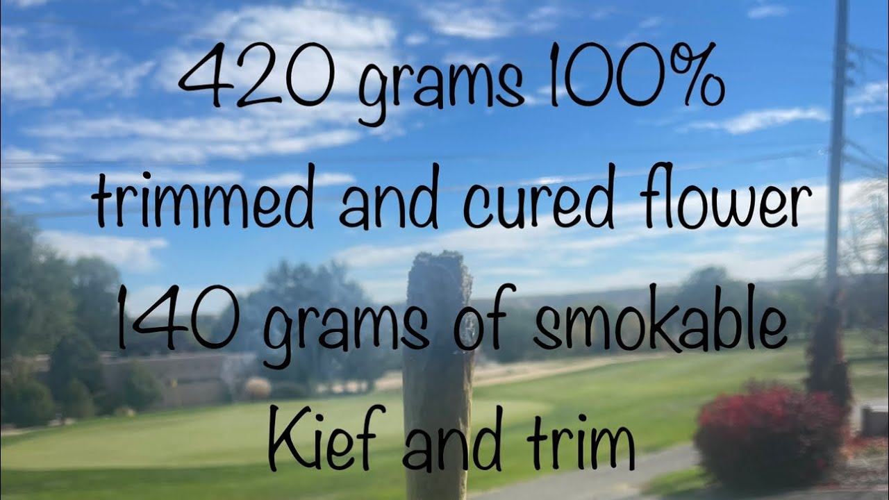 How to grow your own pound! Grow Strong Industries grow cup 2022! Vote for me!