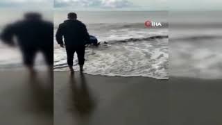 Sahile vuran yunus böyle kurtardılar!