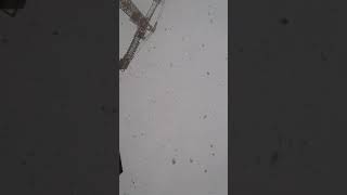 Arsız Bela Bir Başkayım Anne