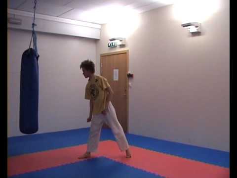 Standing flashkick