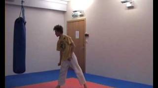 Standing flashkick