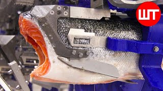 How Salmon Is Made | How It's Made Salmon Fillet In Factory