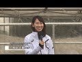 渋谷区オリンピック・パラリンピック競技リアル観戦事業 陸上競技・パラ陸上競技をリアル観戦してみよう！