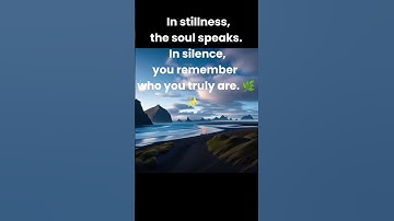 Stillness Speaks: A Meditation Moment to Reconnect