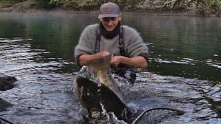 20 kg Salmon Caught in River Bolstad