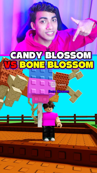 CANDY BLOSSOM VS BONE BLOSSOM GROW A GARDEN 😱