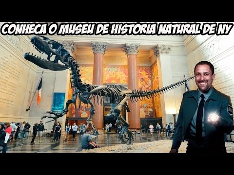 Vídeo: Melhores Museus De História Natural Do Mundo