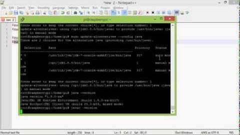 Set JDK8 as default java and javac with alternatives for Raspberry Pi