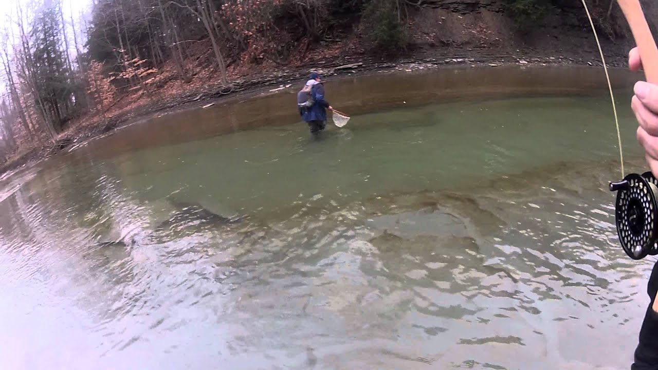 Steelhead Fly Fishing Elk Creek PA with GoPro YouTube