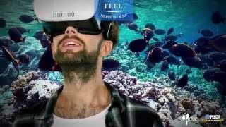 App  &quot;FEEL - TheMustOfTheSea.com&quot;  ENG