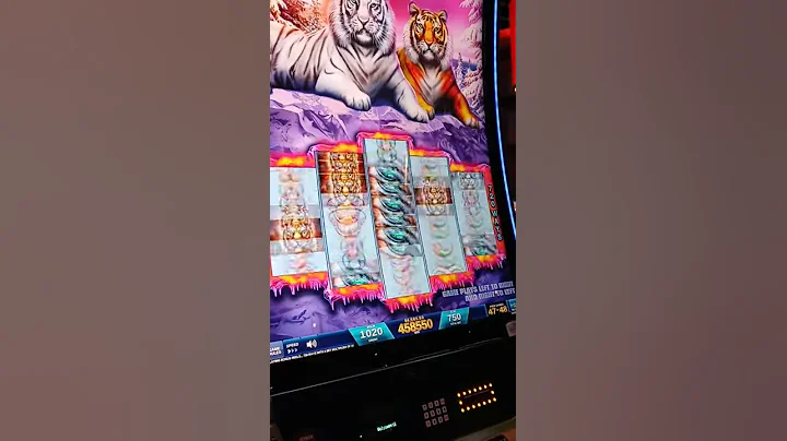 JACKPOT!!! Big Win Bonus