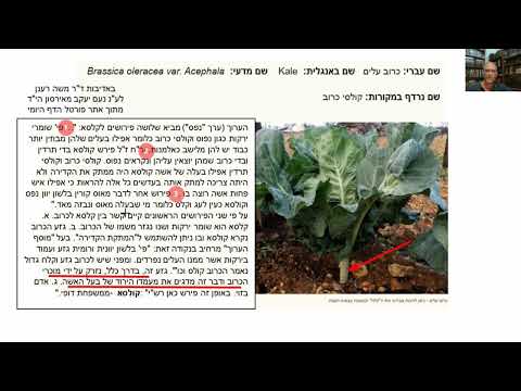 וִידֵאוֹ: מתי נולד תיאופרסטוס?