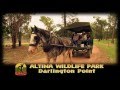 Altina Wildlife Park Darlington Point  &#39;Gone Wild&#39;