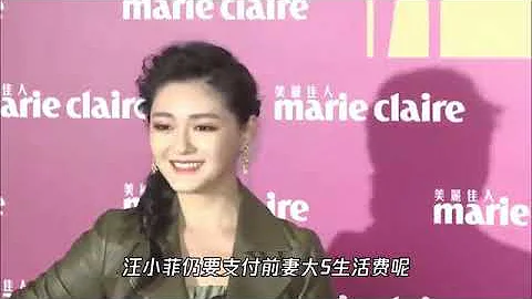 律师揭大S离婚协议，汪小菲删女方再婚限制条件，因此要继续付钱 - 天天要闻