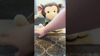 Cuddle barn singing Marvin the monkey