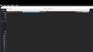 AdonisJs : Introduction To Middleware