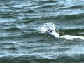RC boat Yamaha UF26 in rough sea No.3
