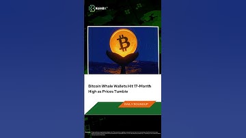 Crypto Daily Roundup-2nd Sep 2024 #koinbx #crypto #cryptonews #cardano #ADA #bitcoin #wallet  #BTC