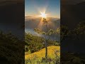 youtube.com/shorts/jBowOLLCbV4?si=VtLC3eYRsEkvW3lJ #lifeisbutadream #love #whowillbemylifepartnerta