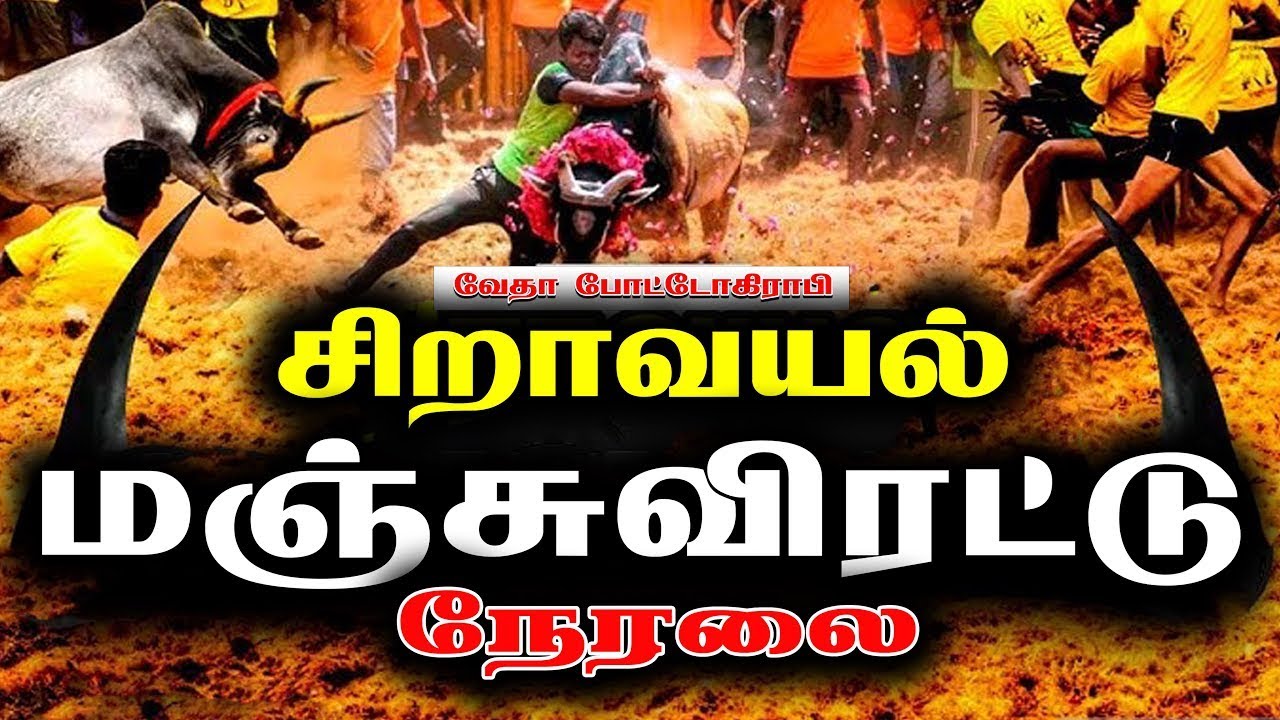 ♦️LIVE //சிறாவயல் மஞ்சுவிரட்டு நேரலை