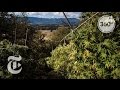 Why a Pot Farmer Opposes Legal Marijuana | The Daily 360 | The New York Times