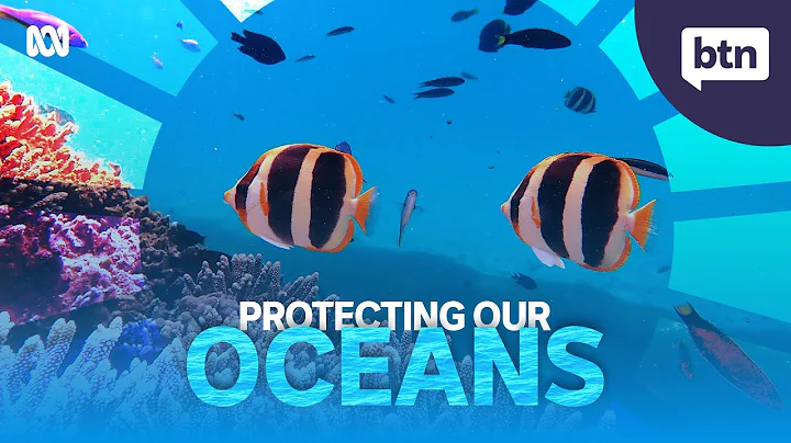 Oceans Are Struggling With Plastic Pollution, Climate Change, and Overfishing - Behind the News