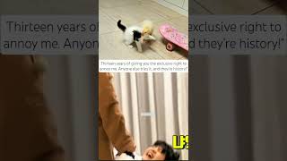 yoonmin btsfestamonth 13yearsofbts btsanniversary shorts edits fyp kpopexplore ot7btsarmy