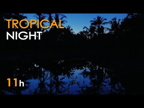 tropical-night---nature-sounds-for-sleeping---frogs-&-crickets---11-hours-long---relaxing-hd-video