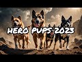 Courageous dogs 2023 highlights