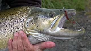 Soft baiting for monster trout South Island New Zealand 4K screenshot 4