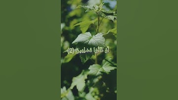 القارئ هزاع البلوشي (رُّبَمَا يَوَدُّ الَّذِينَ كَفَرُوا)🍀