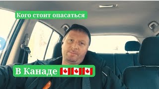 в Канаде 🇨🇦 держитесь от них подальше