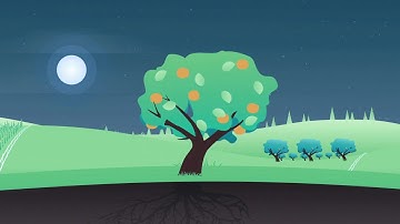 Phytech Onboarding #2   Current Practices