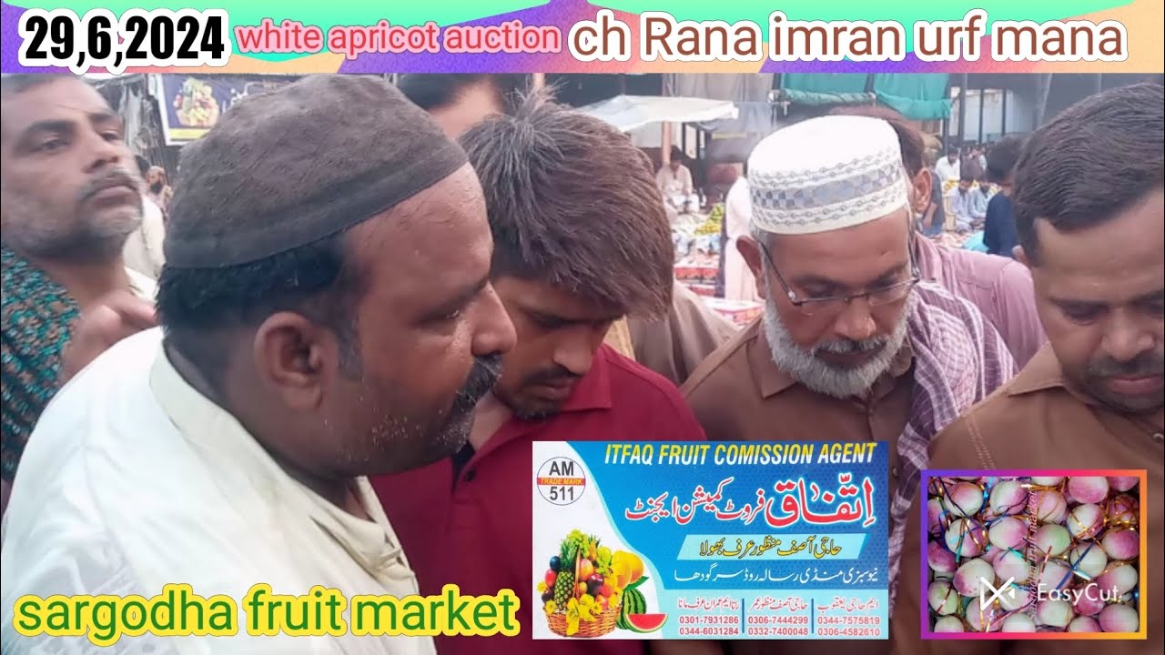 I Mran Rana 29,6,2024 ch Rana Imran is engaged in white apricot auction [ known as ...