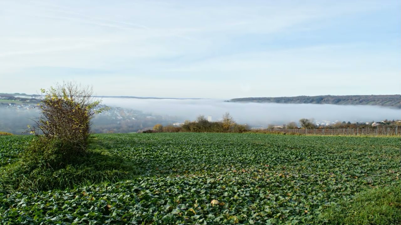 Timelaps: Weikersheim Bodennebel