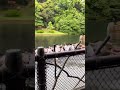 カヌー部でディズニー来た結果 カヌー部でディズニー来た結果